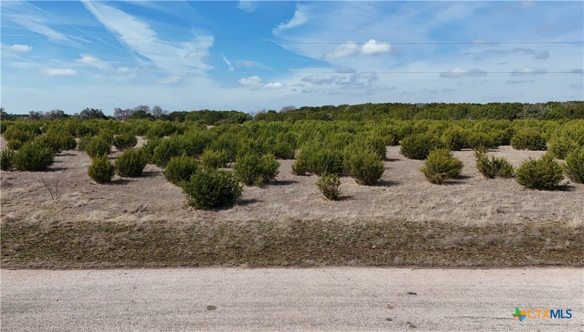10 acres in Burnet County gallery image 3