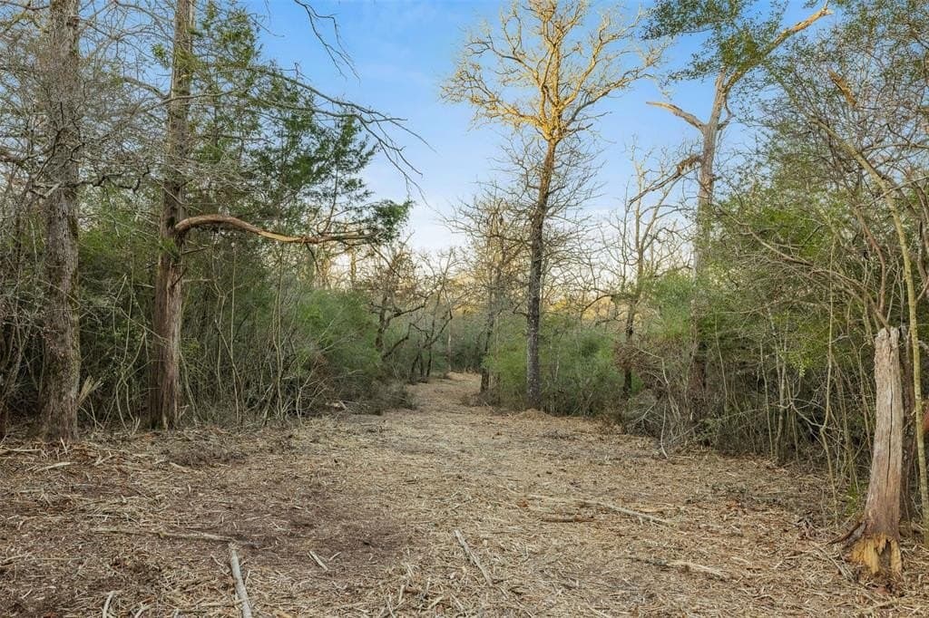 72.66 acres in Leon County featured view