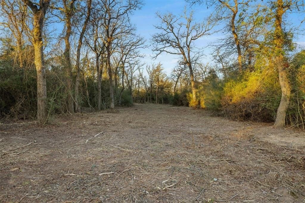 72.66 acres in Leon County gallery image 2