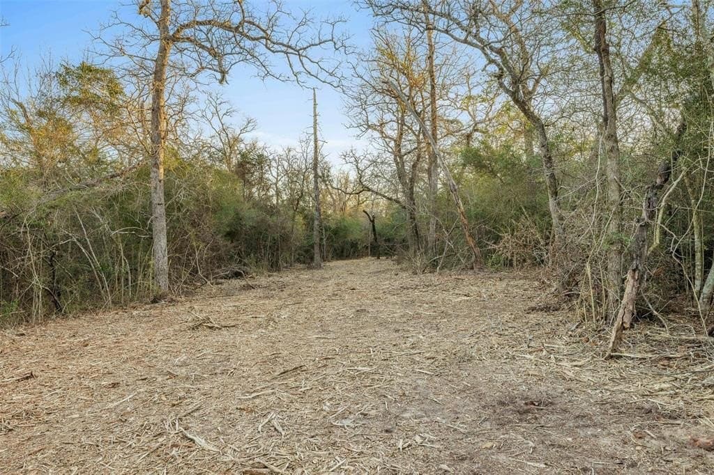 72.66 acres in Leon County gallery image 4