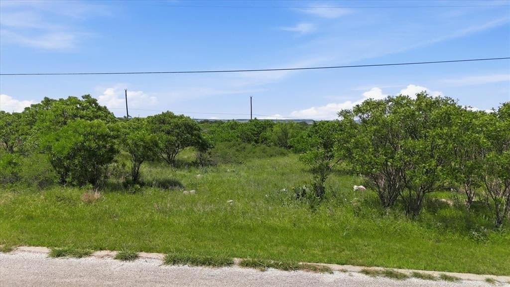 0.23 acres in Palo Pinto County gallery image 2