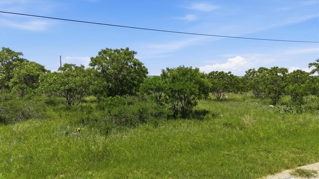 0.23 acres in Palo Pinto County gallery image 3