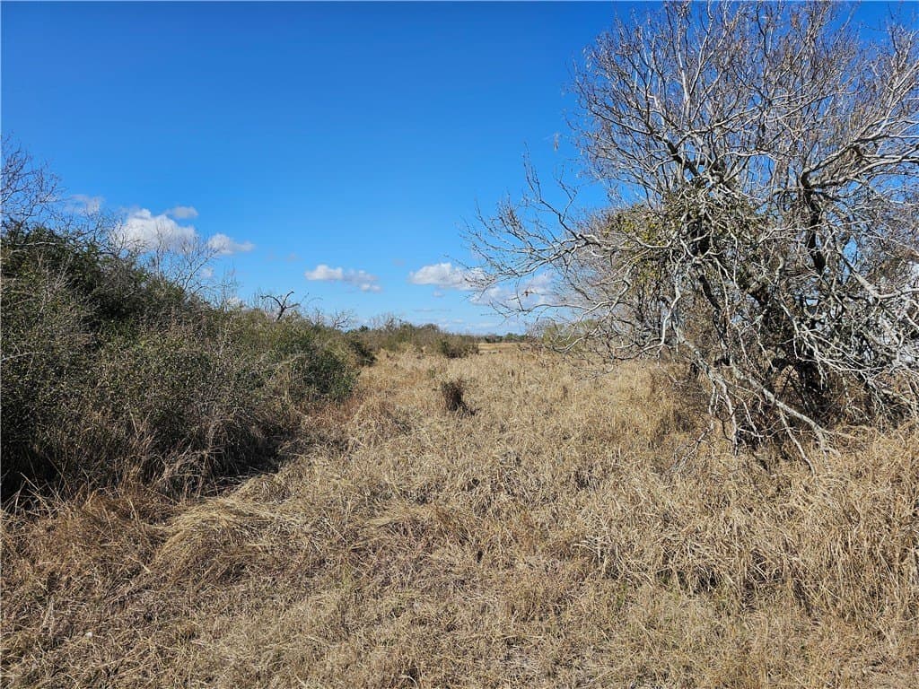 0 acres in Refugio County - photo 6