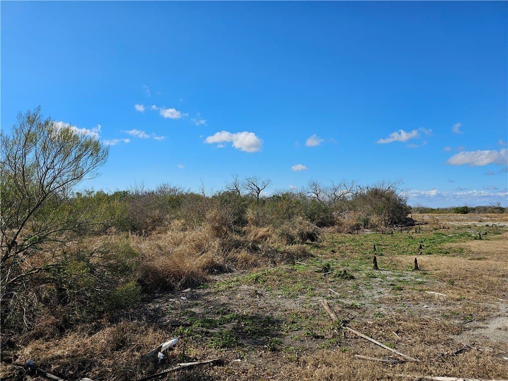 0 acres in Refugio County - photo 4