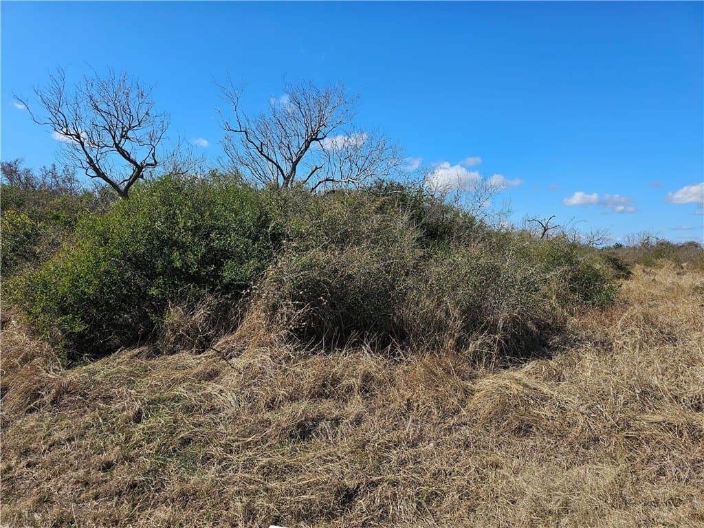 0 acres in Refugio County - photo 8