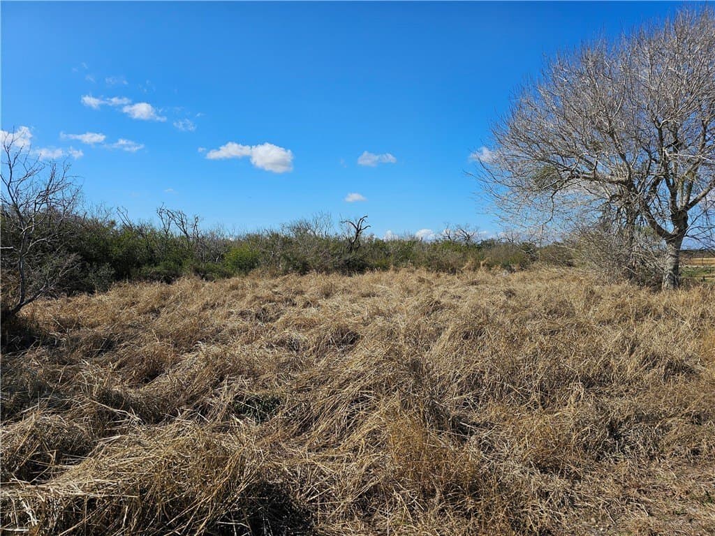 0 acres in Refugio County - photo 2
