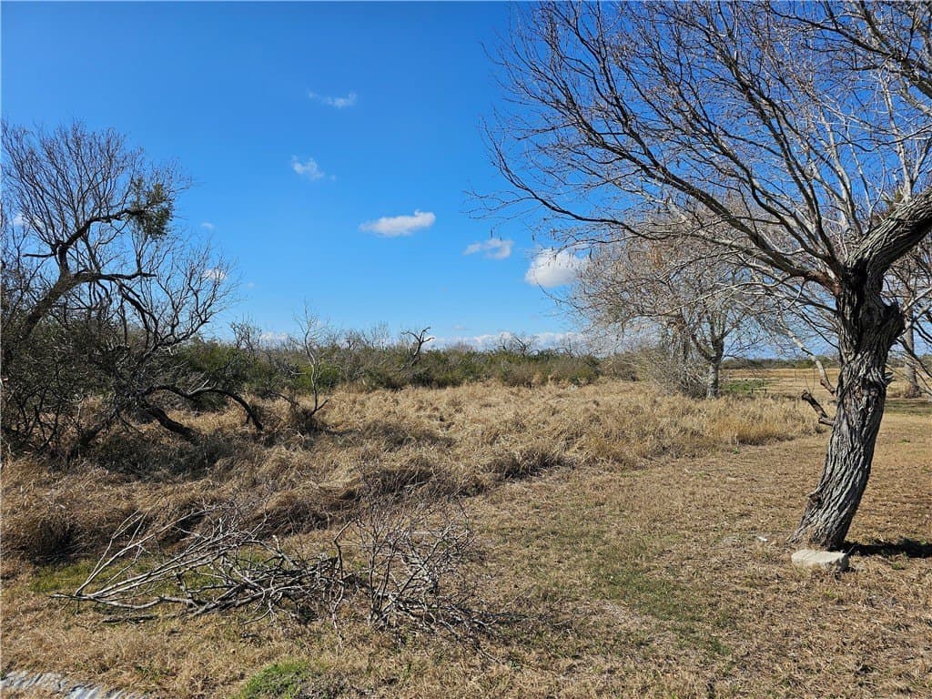 0 acres in Refugio County - photo 3