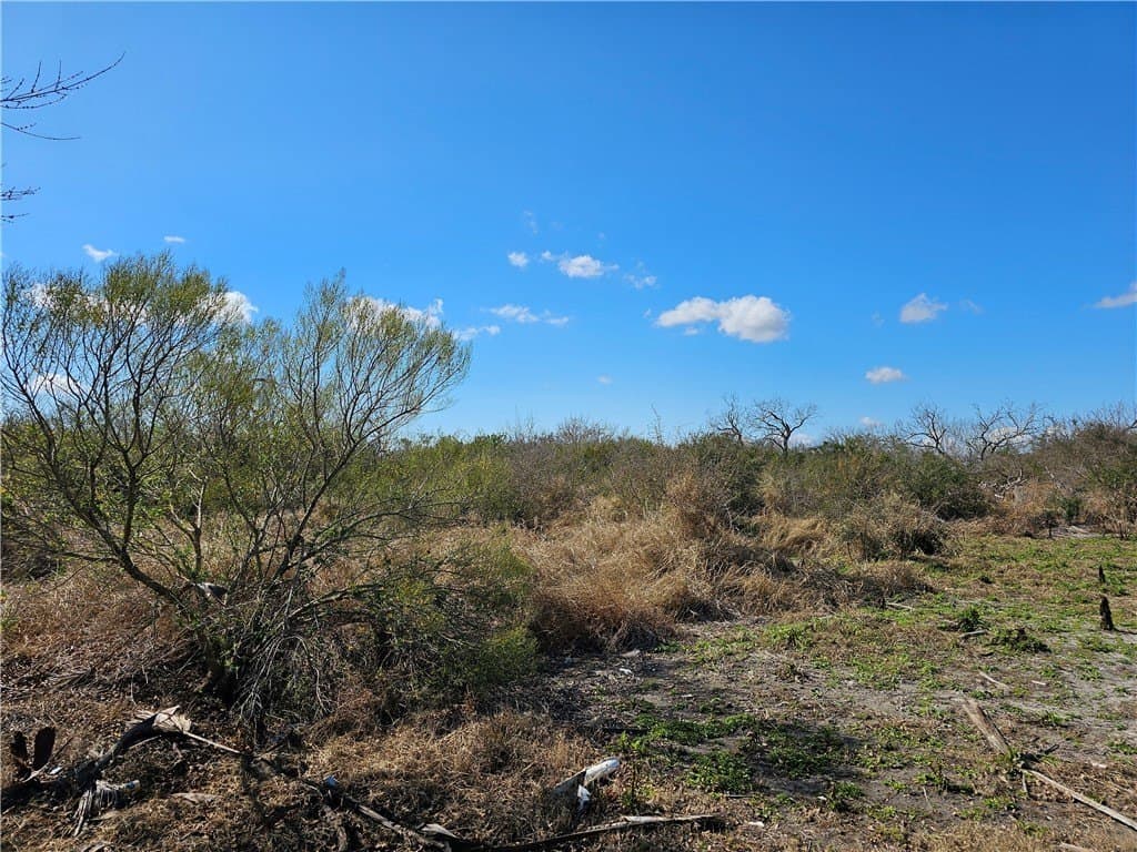 0 acres in Refugio County - photo 7