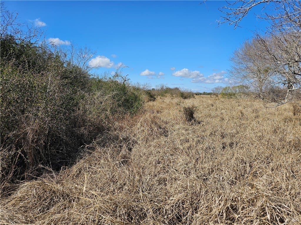 0 acres in Refugio County - photo 5