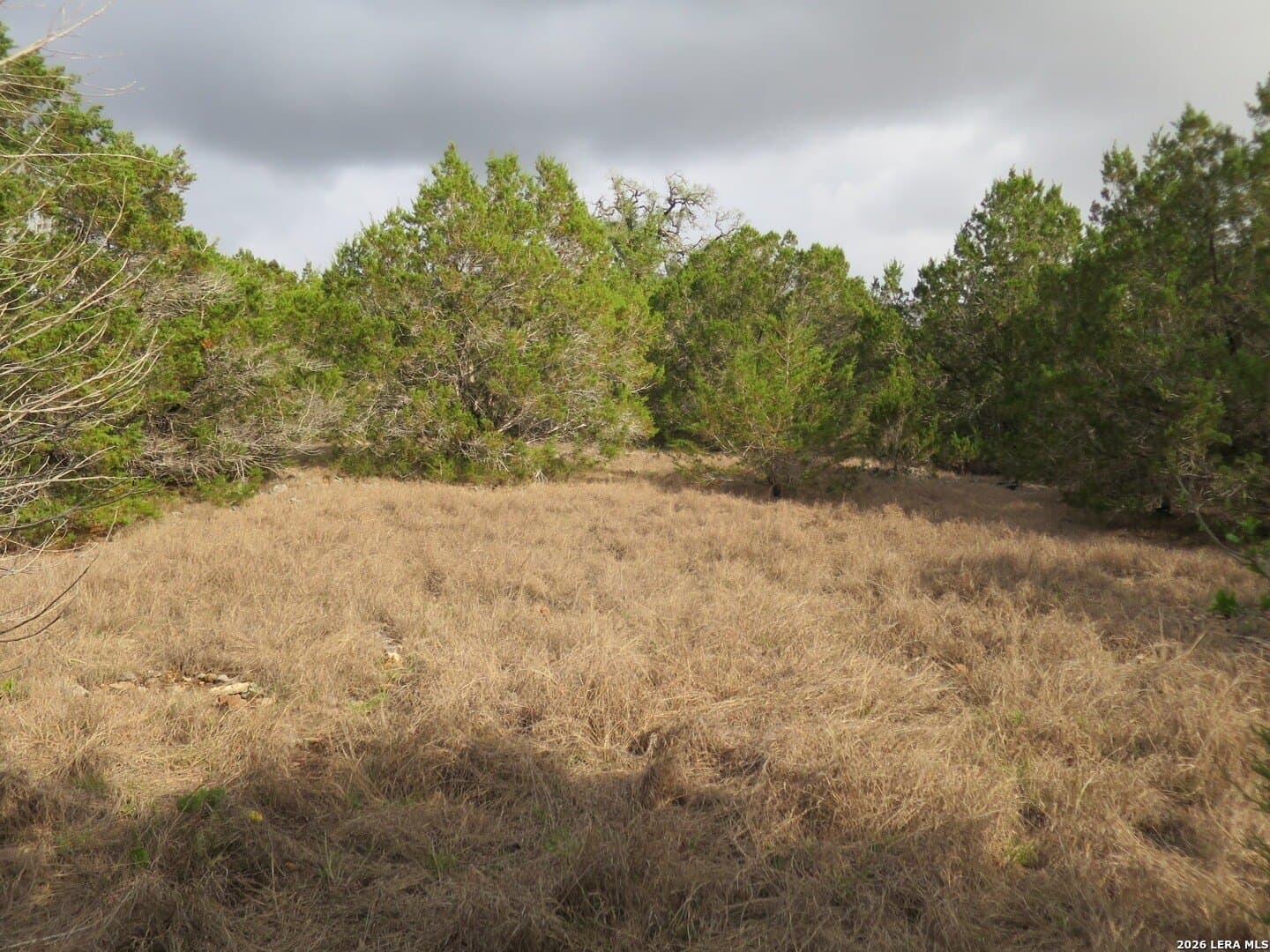 6 acres in Comal County - photo 3