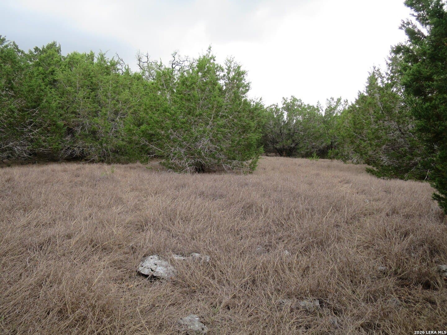 6 acres in Comal County - photo 2