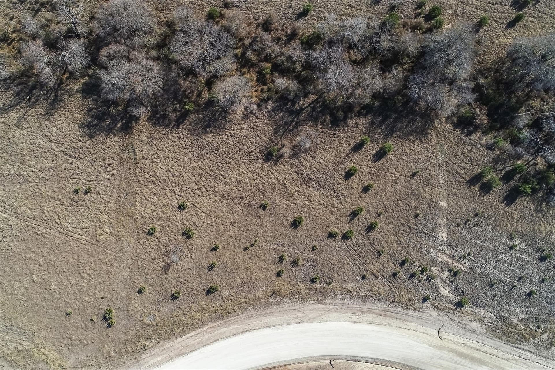 2.19 acres in Somervell County - photo 6