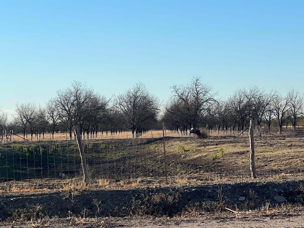11.05 acres in Maverick County - photo 6