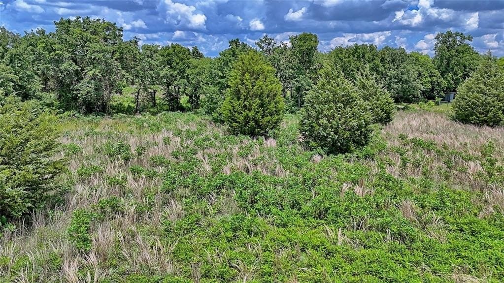 3.63 acres in Montague County featured view