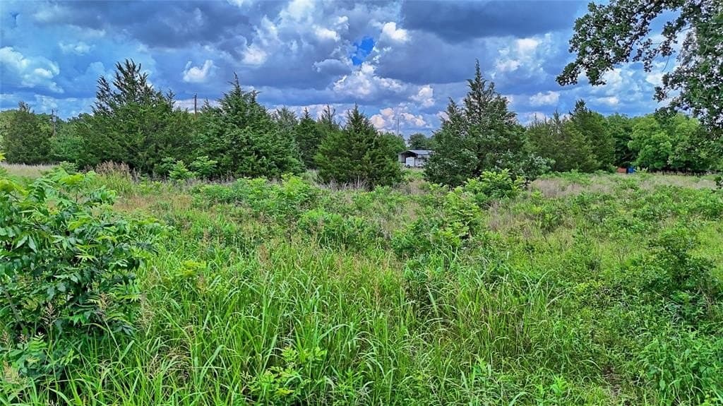 3.63 acres in Montague County gallery image 4