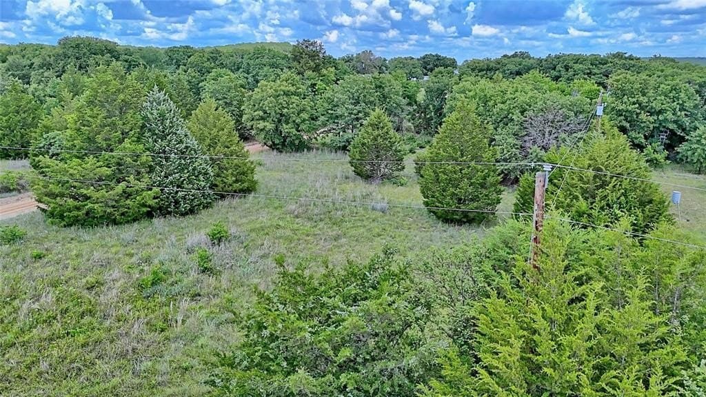 3.63 acres in Montague County gallery image 2