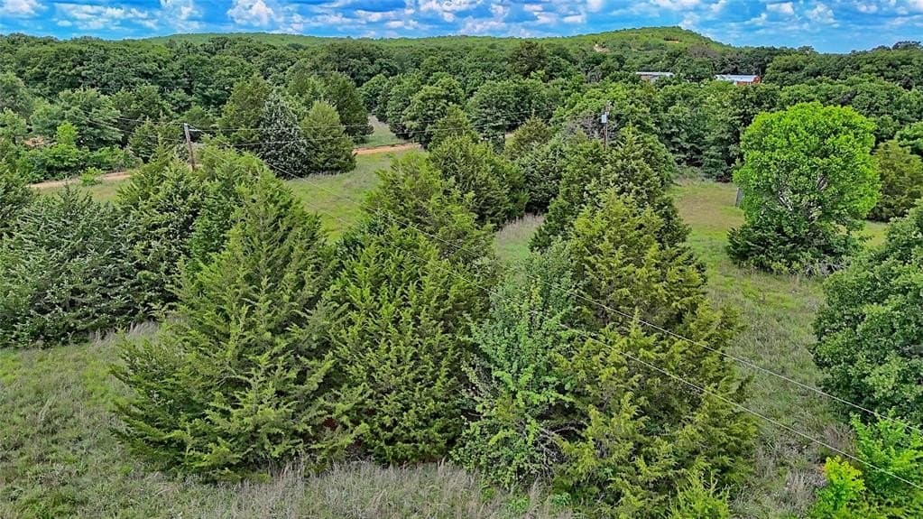 3.63 acres in Montague County gallery image 3