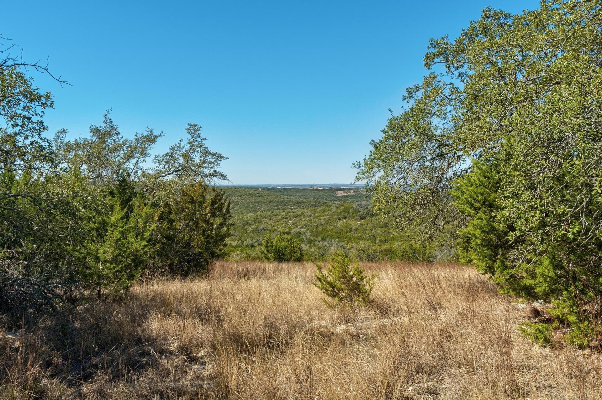 10 acres in Hays County - photo 15