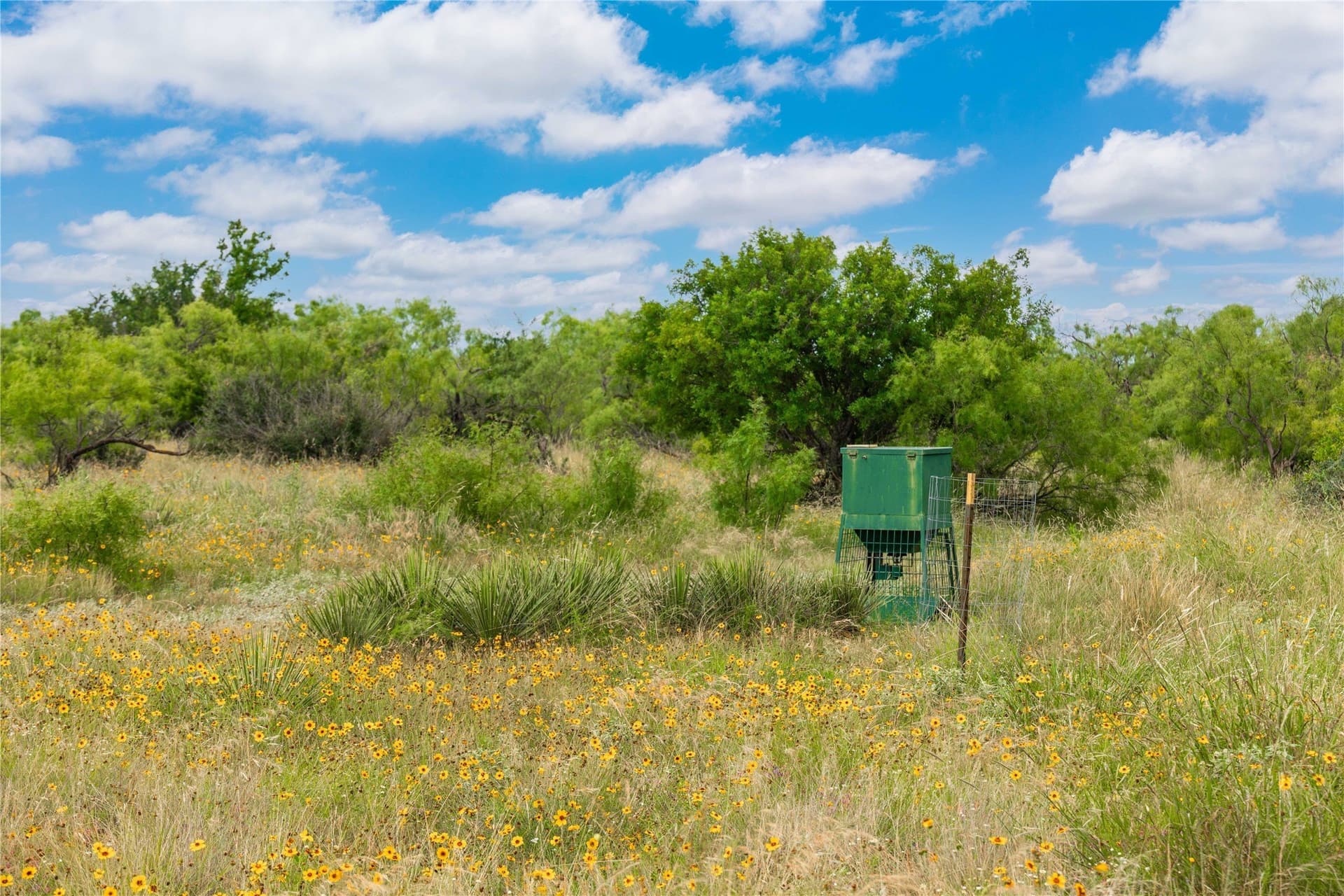 332.71 acres in Coleman County - photo 11
