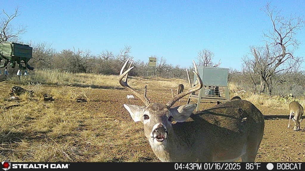 332.71 acres in Coleman County - photo 34