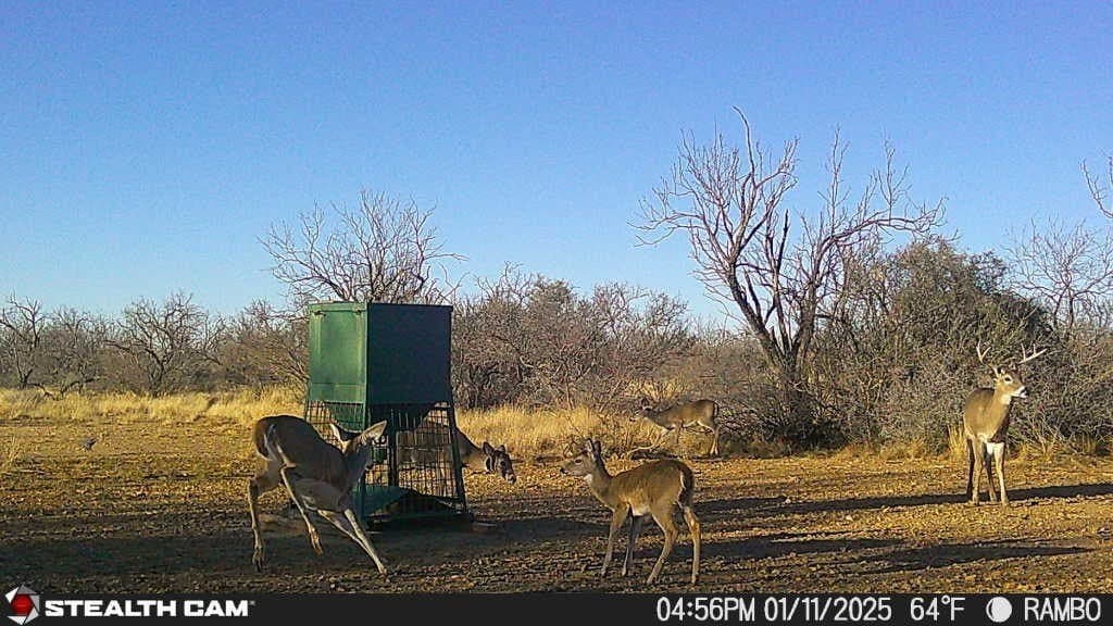 332.71 acres in Coleman County - photo 35