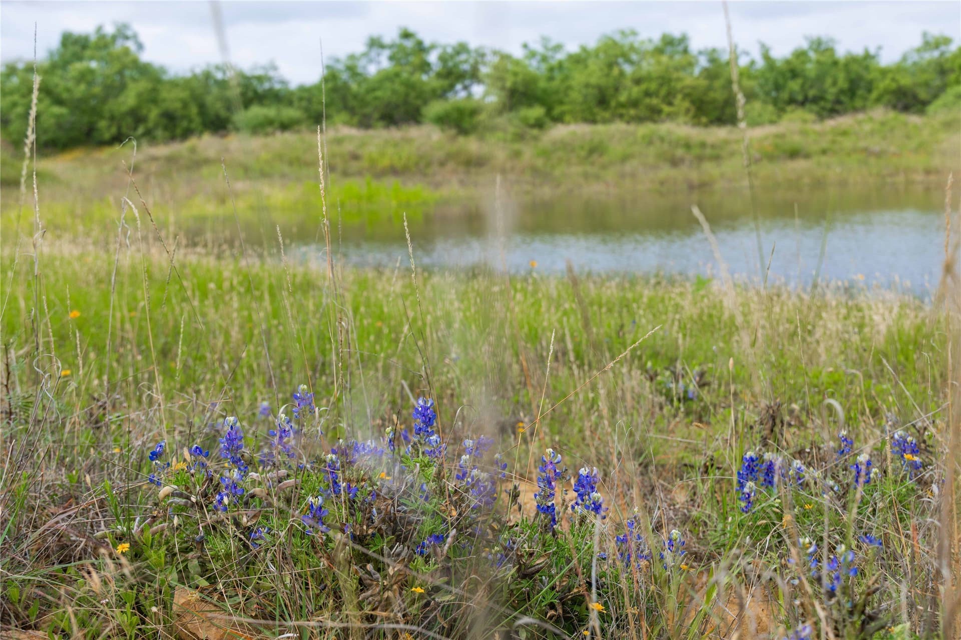 332.71 acres in Coleman County - photo 9