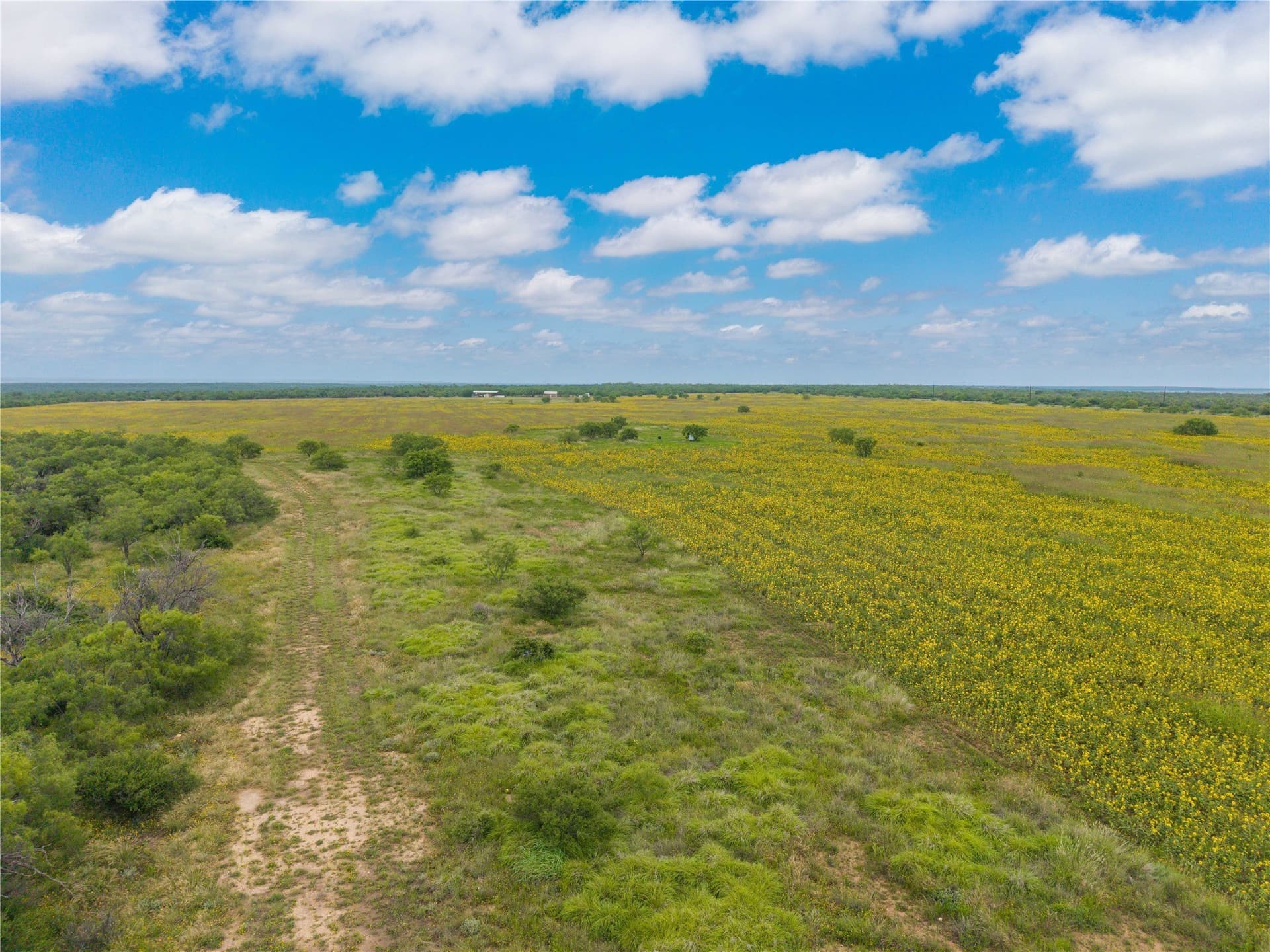 332.71 acres in Coleman County - photo 16