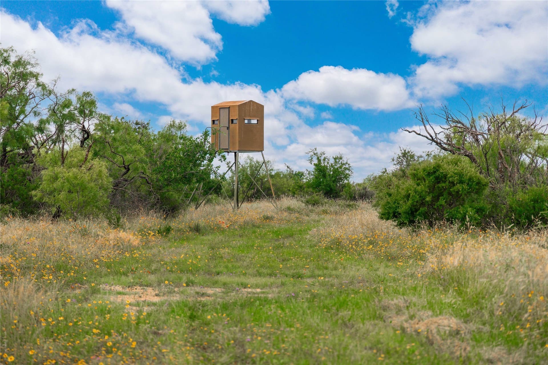 332.71 acres in Coleman County - photo 4