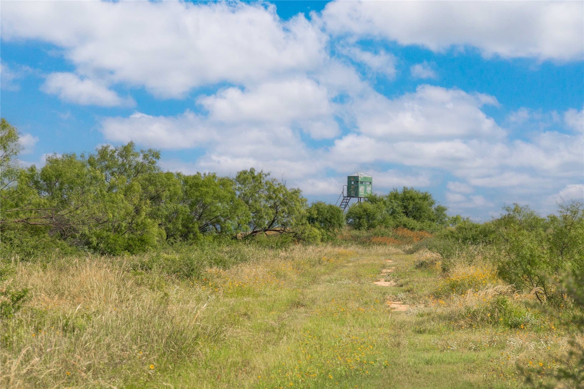 332.71 acres in Coleman County - photo 5