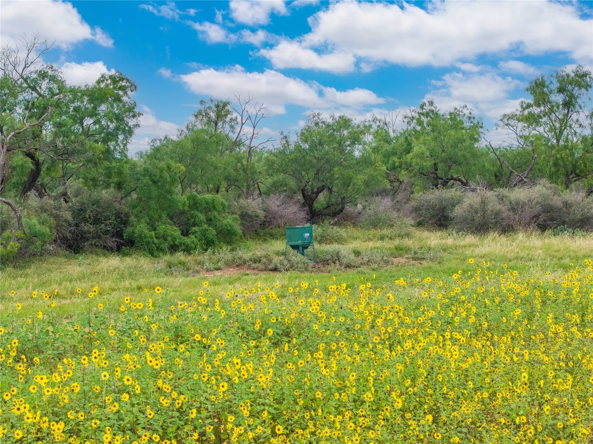 332.71 acres in Coleman County - photo 14