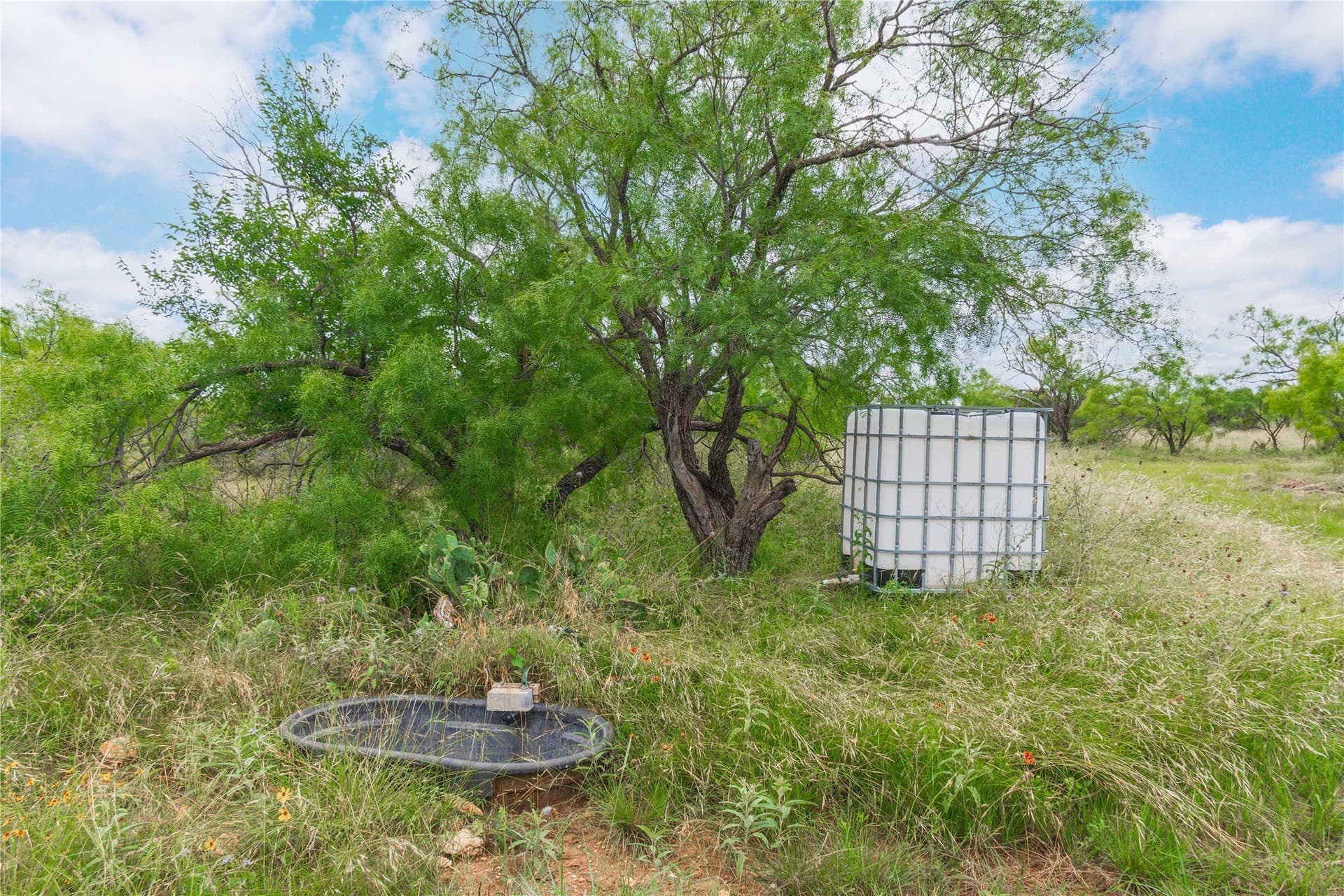 332.71 acres in Coleman County - photo 13