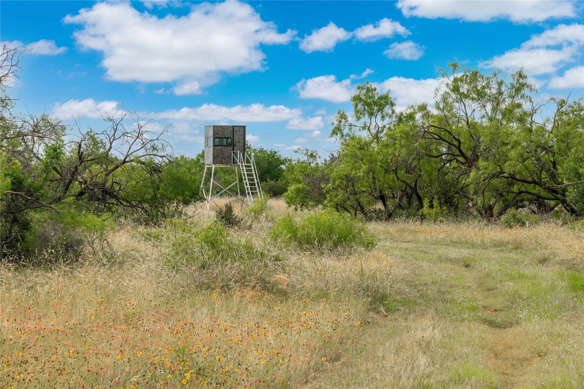332.71 acres in Coleman County - photo 7