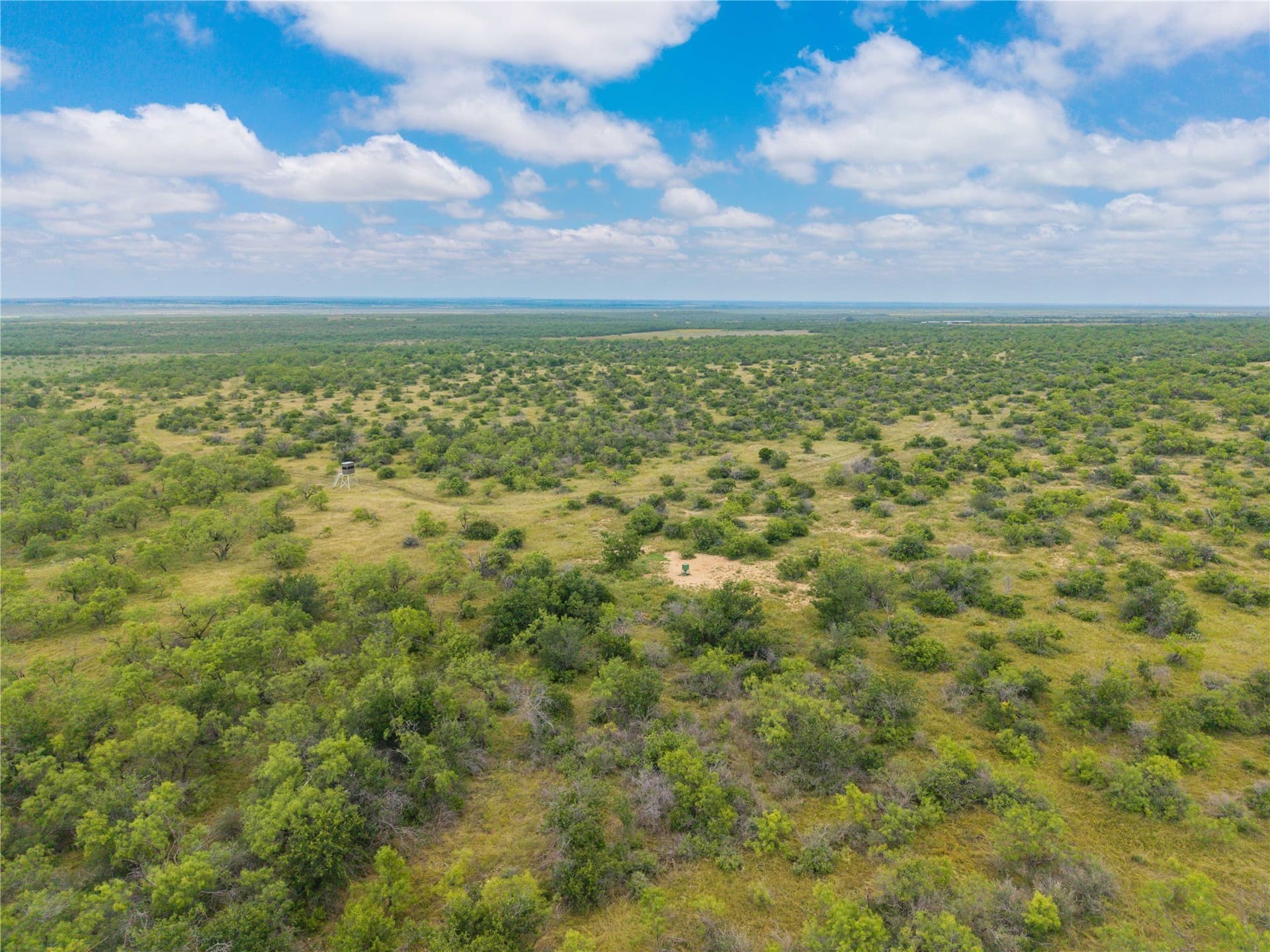 332.71 acres in Coleman County - photo 6