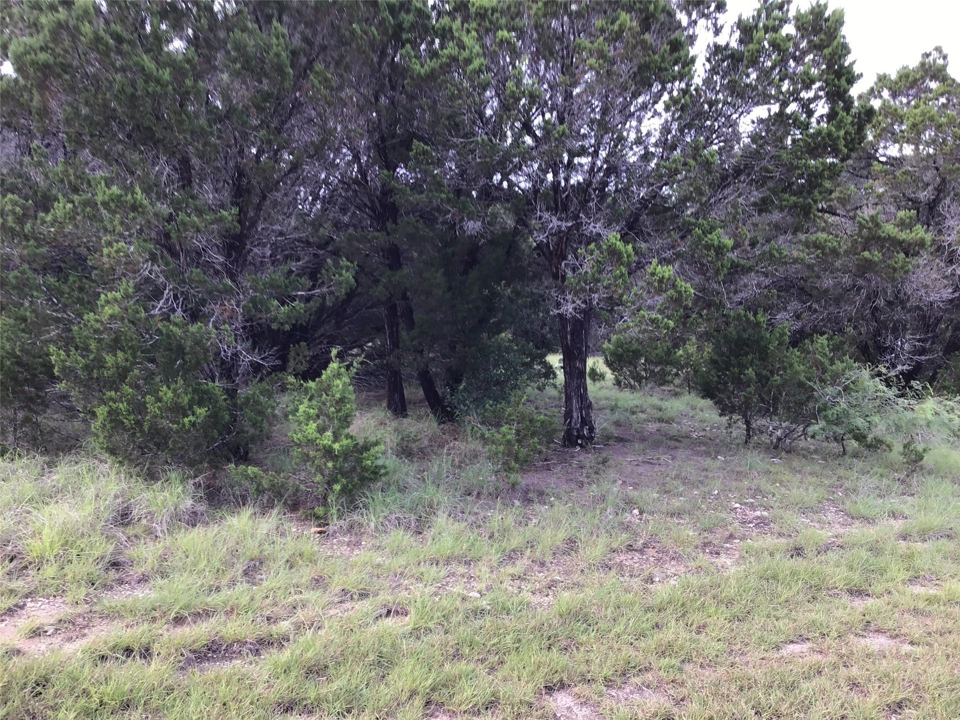 0.27 acres in Hill County gallery image 4