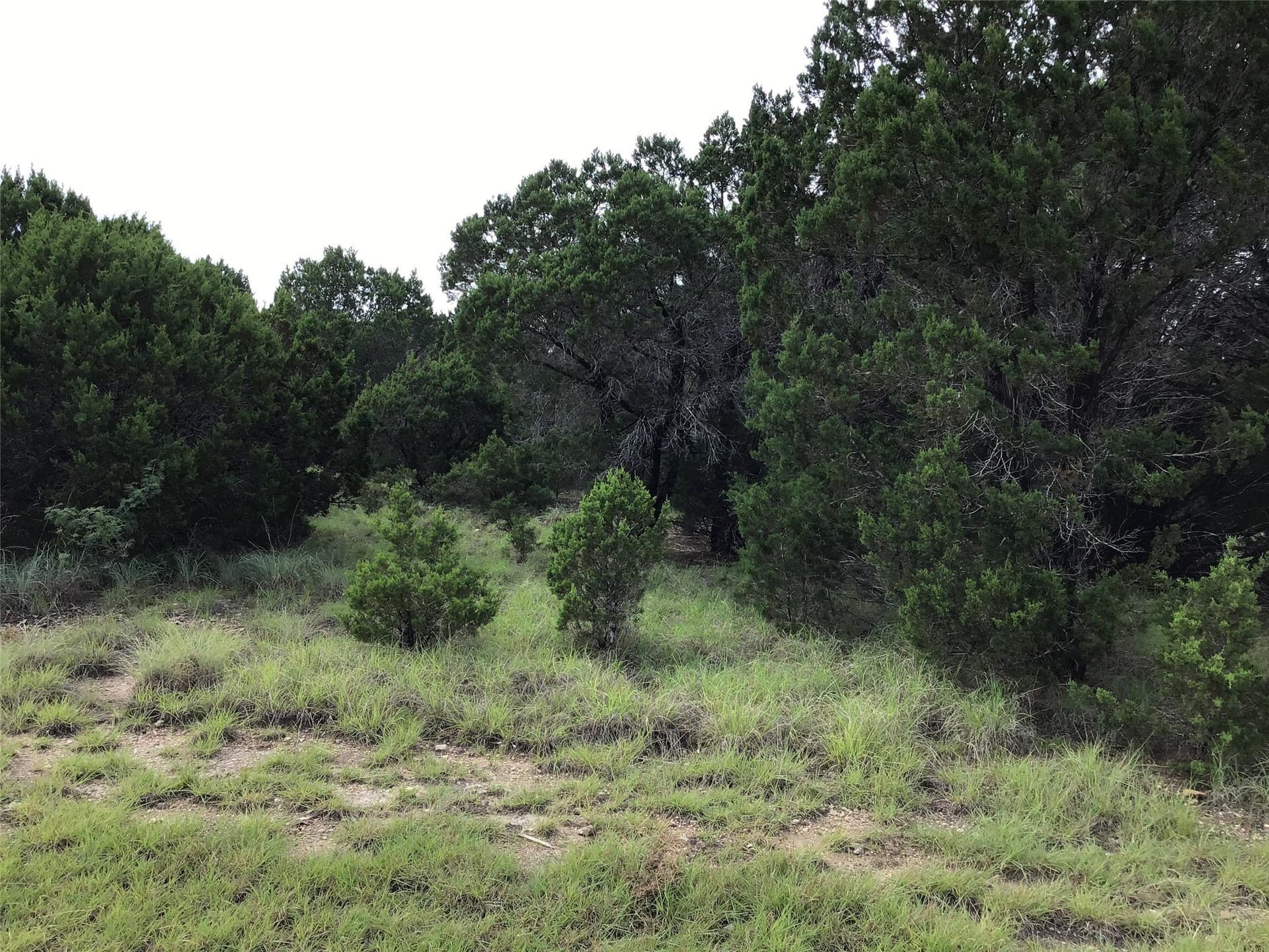0.27 acres in Hill County gallery image 2