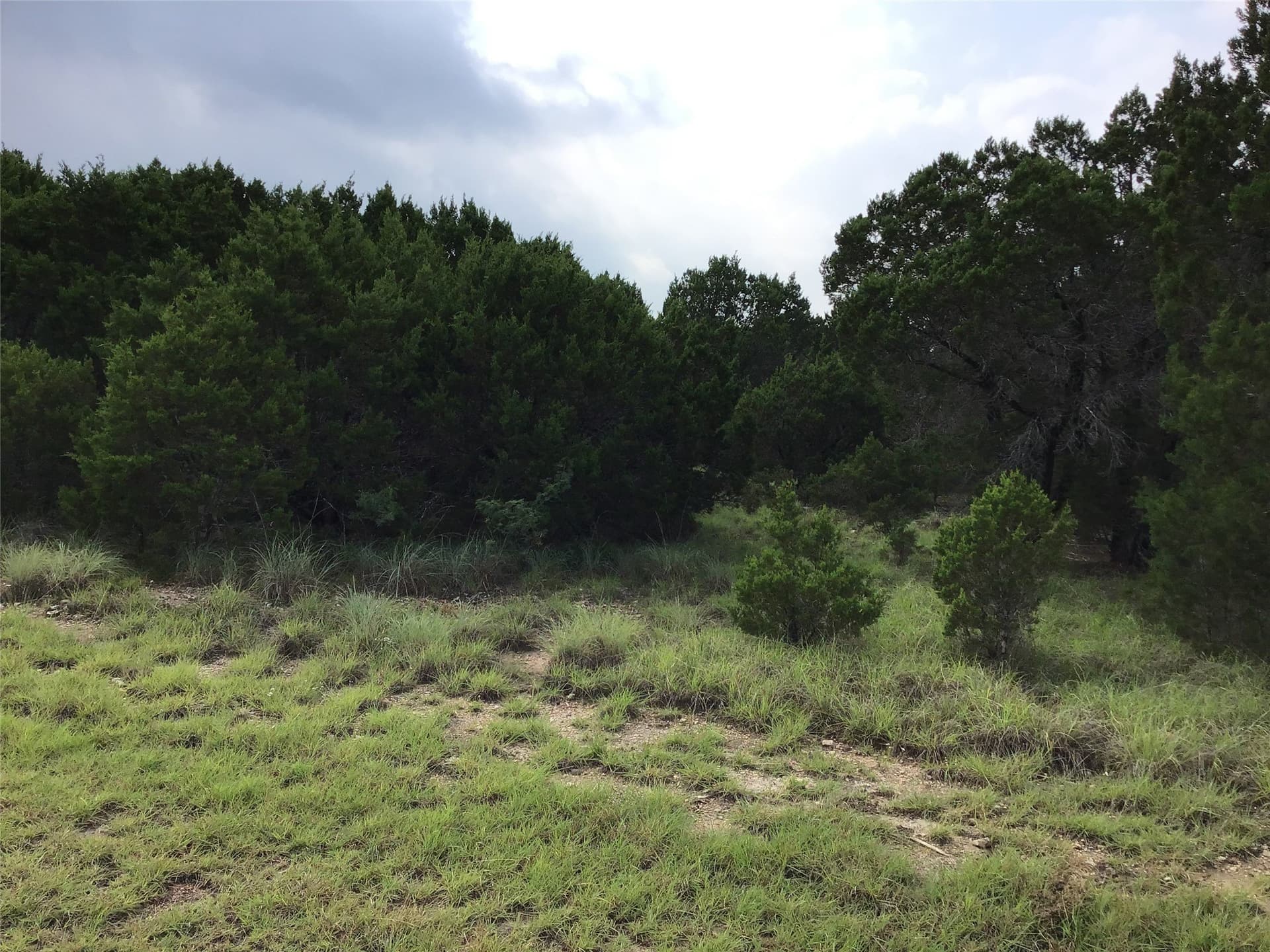 0.27 acres in Hill County gallery image 3