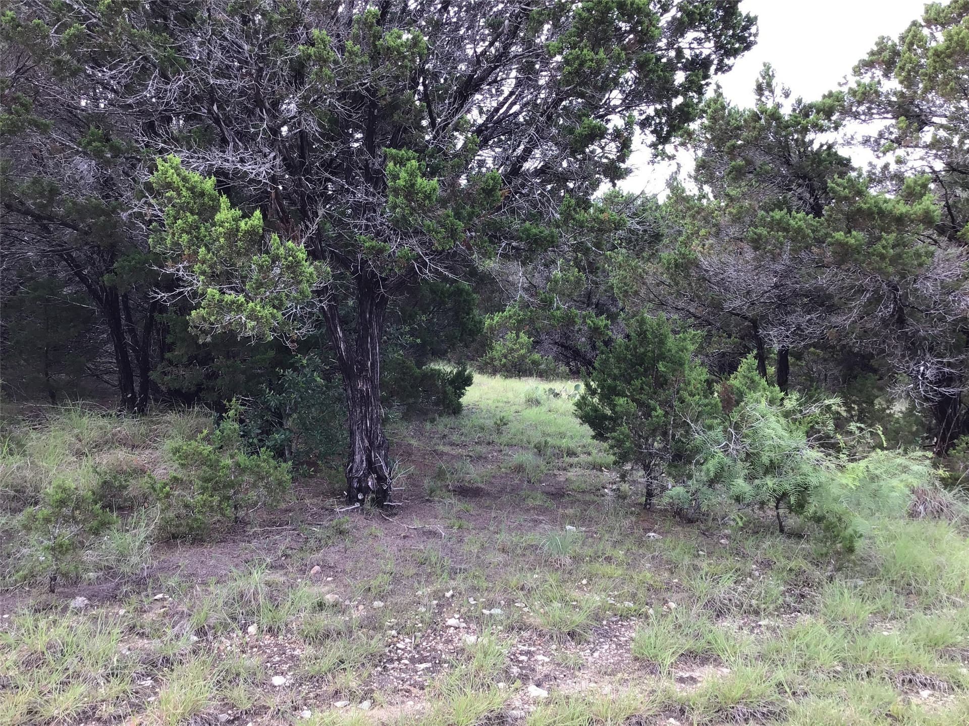 0.27 acres in Hill County featured view