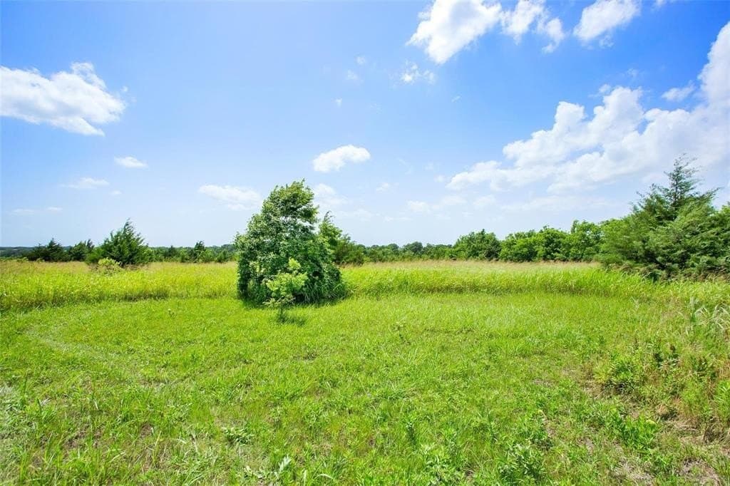 17.71 acres in Grayson County featured view