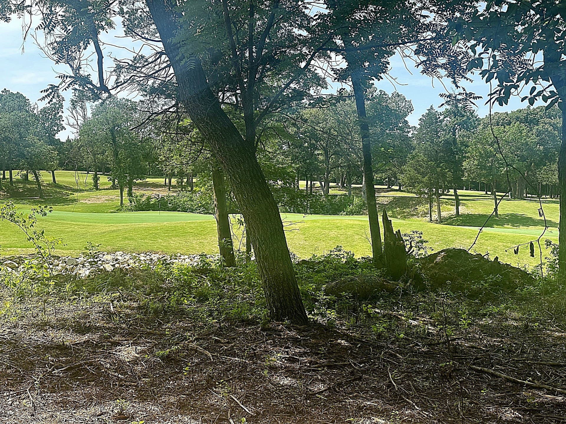1.04 acres in Grayson County - photo 11