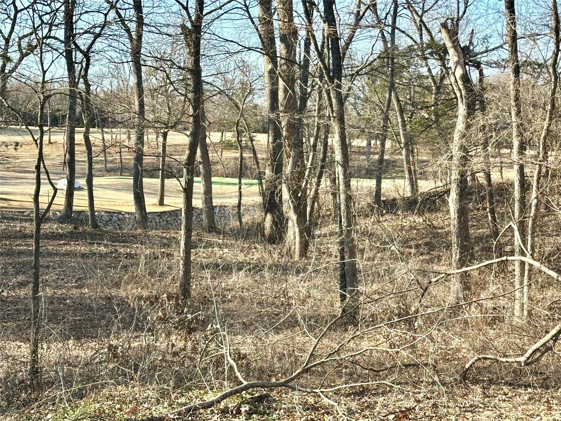1.04 acres in Grayson County - photo 7