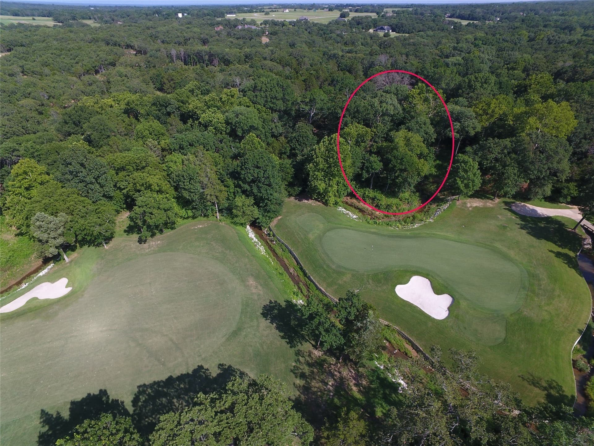 1.04 acres in Grayson County gallery image 2