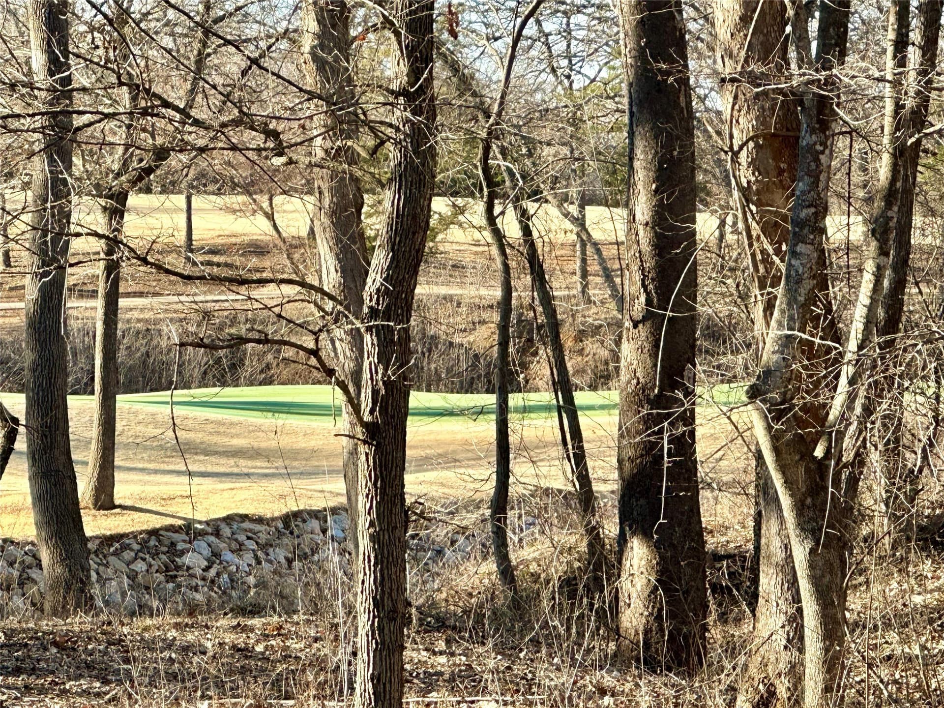 1.04 acres in Grayson County - photo 6