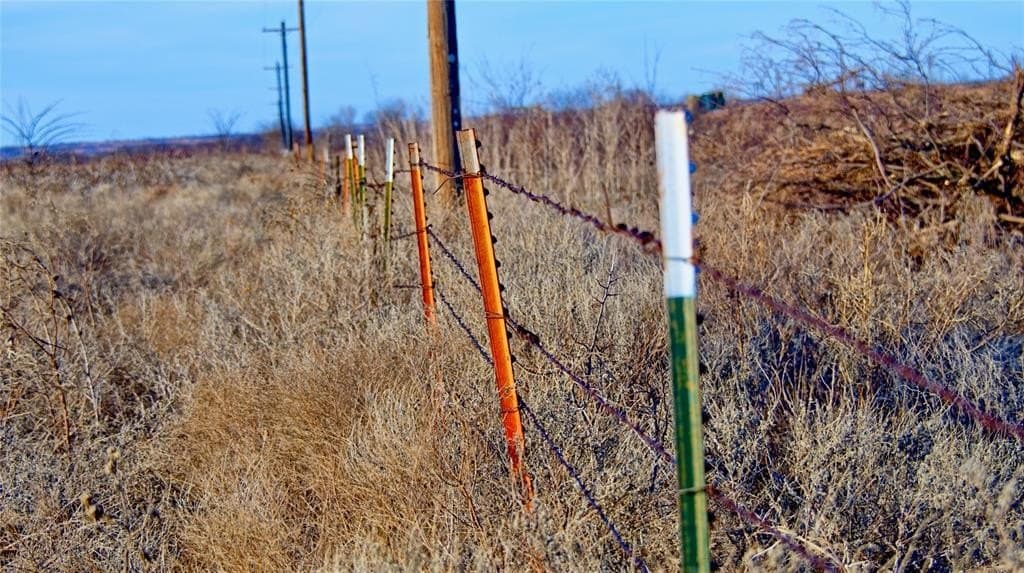 479.12 acres in Montague County gallery image 2