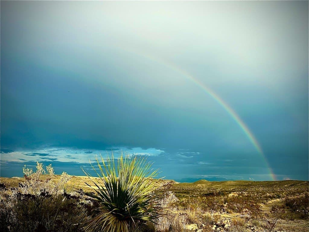 40 acres in Brewster County gallery image 4