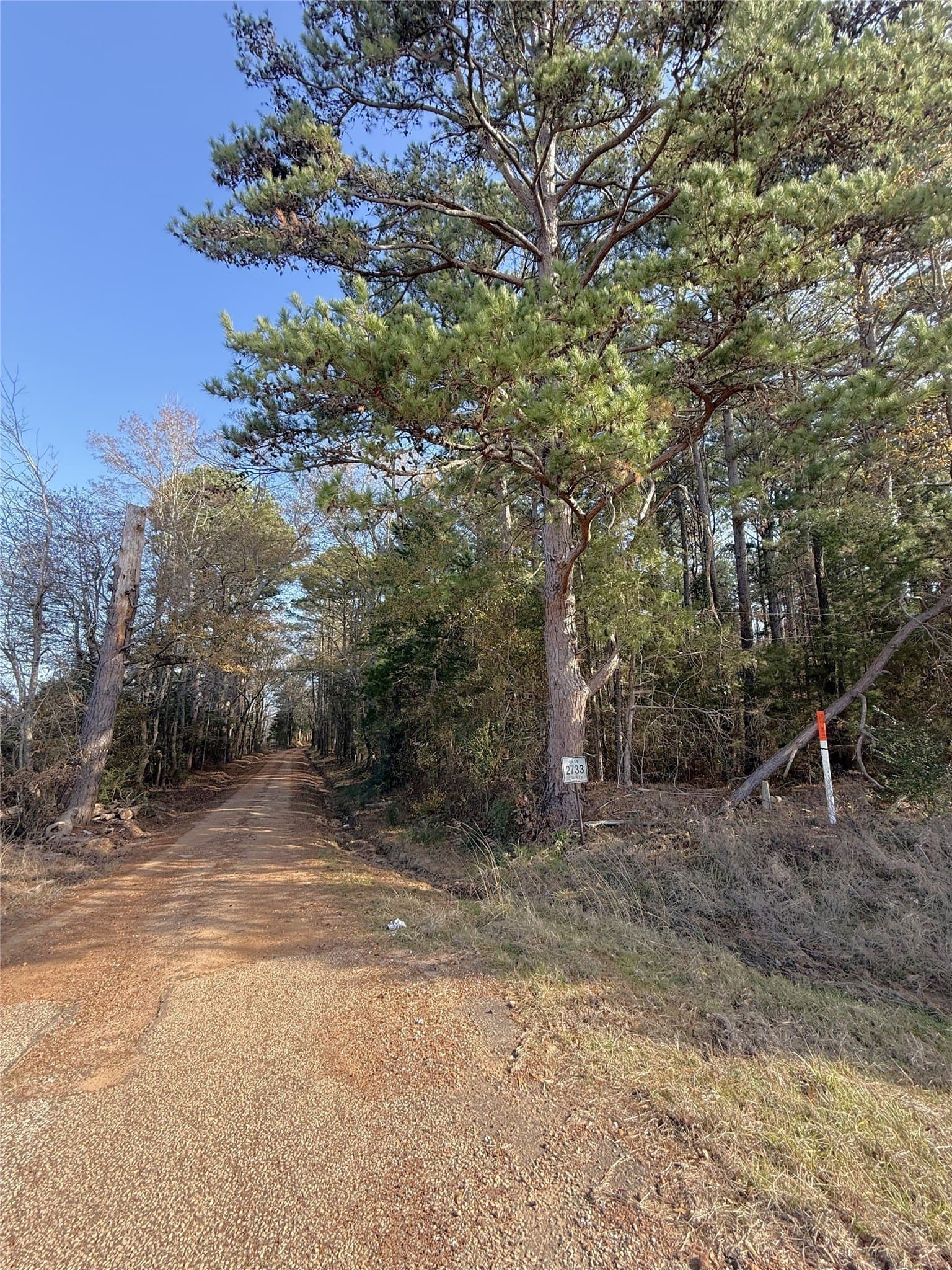 35.73 acres in Cass County - photo 4