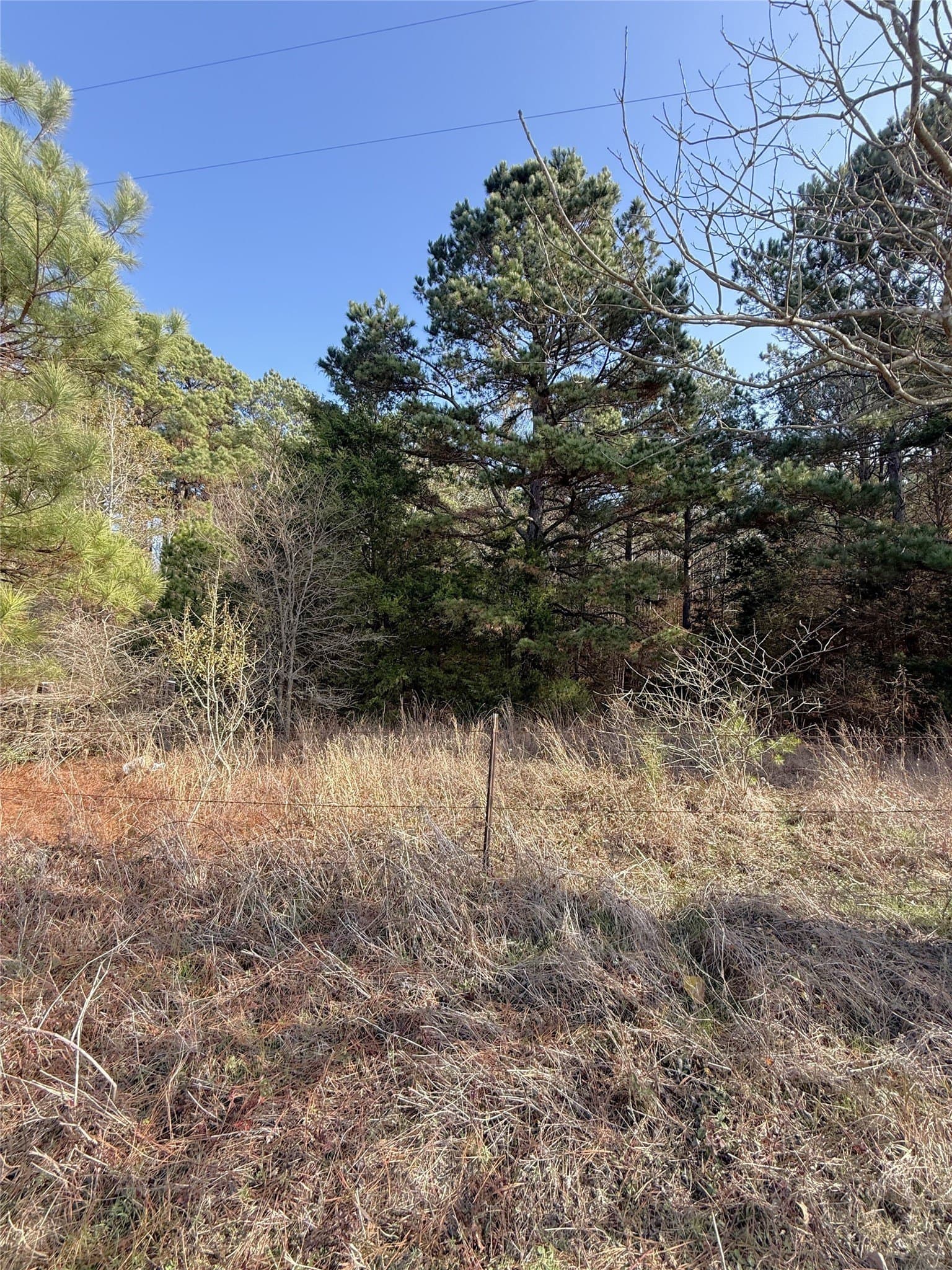 35.73 acres in Cass County - photo 2