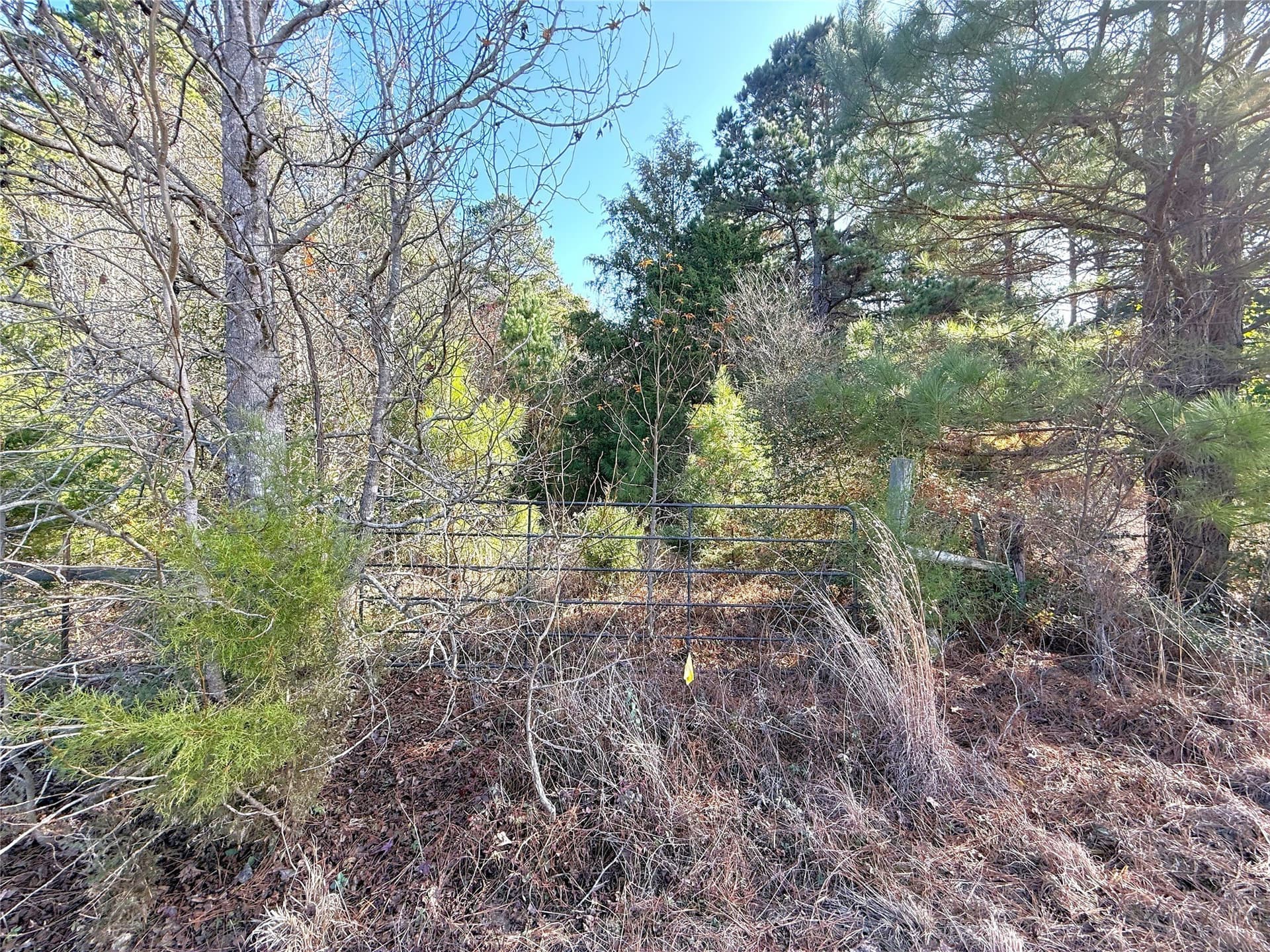 35.73 acres in Cass County - photo 3