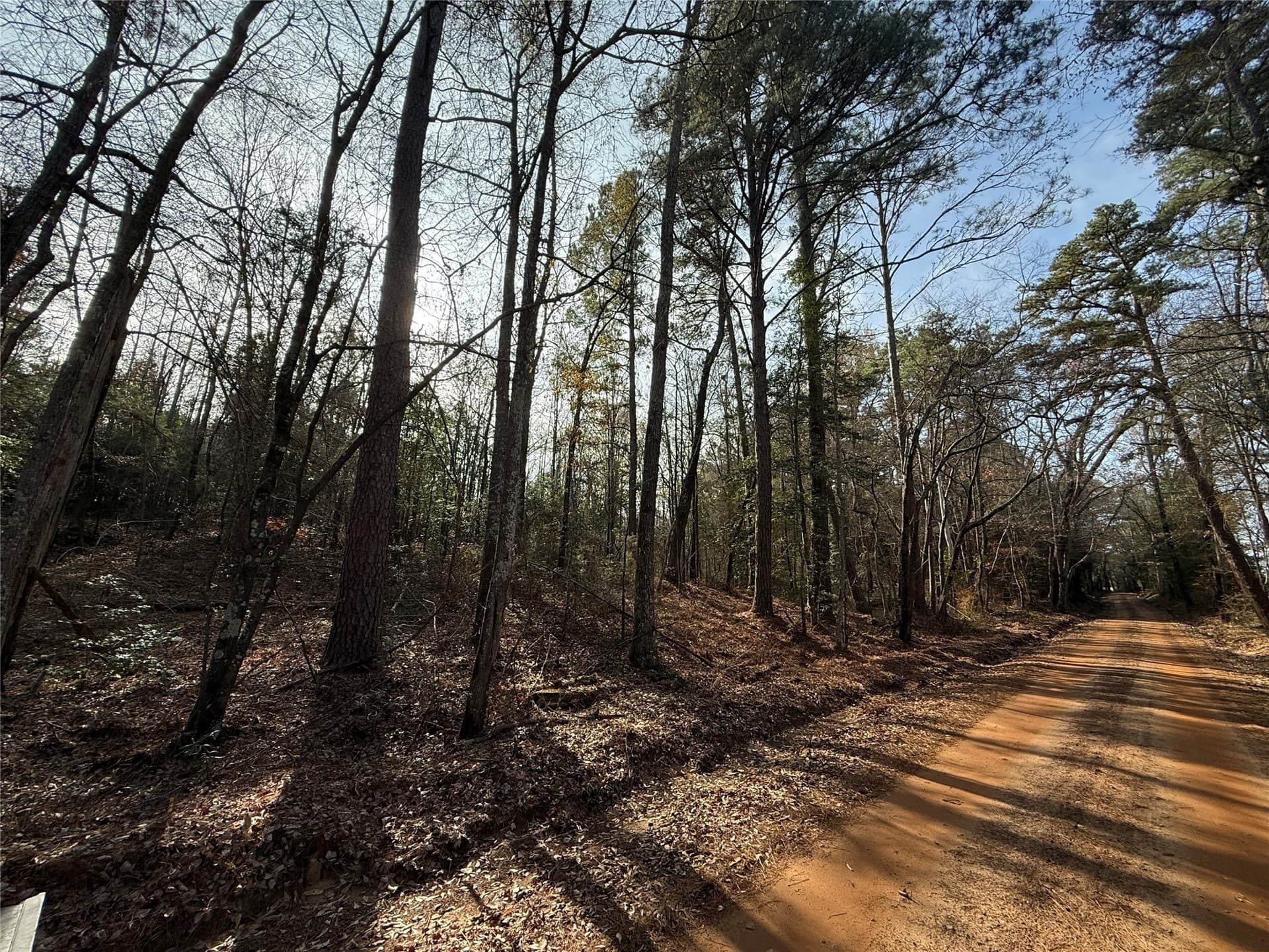 35.73 acres in Cass County - photo 7