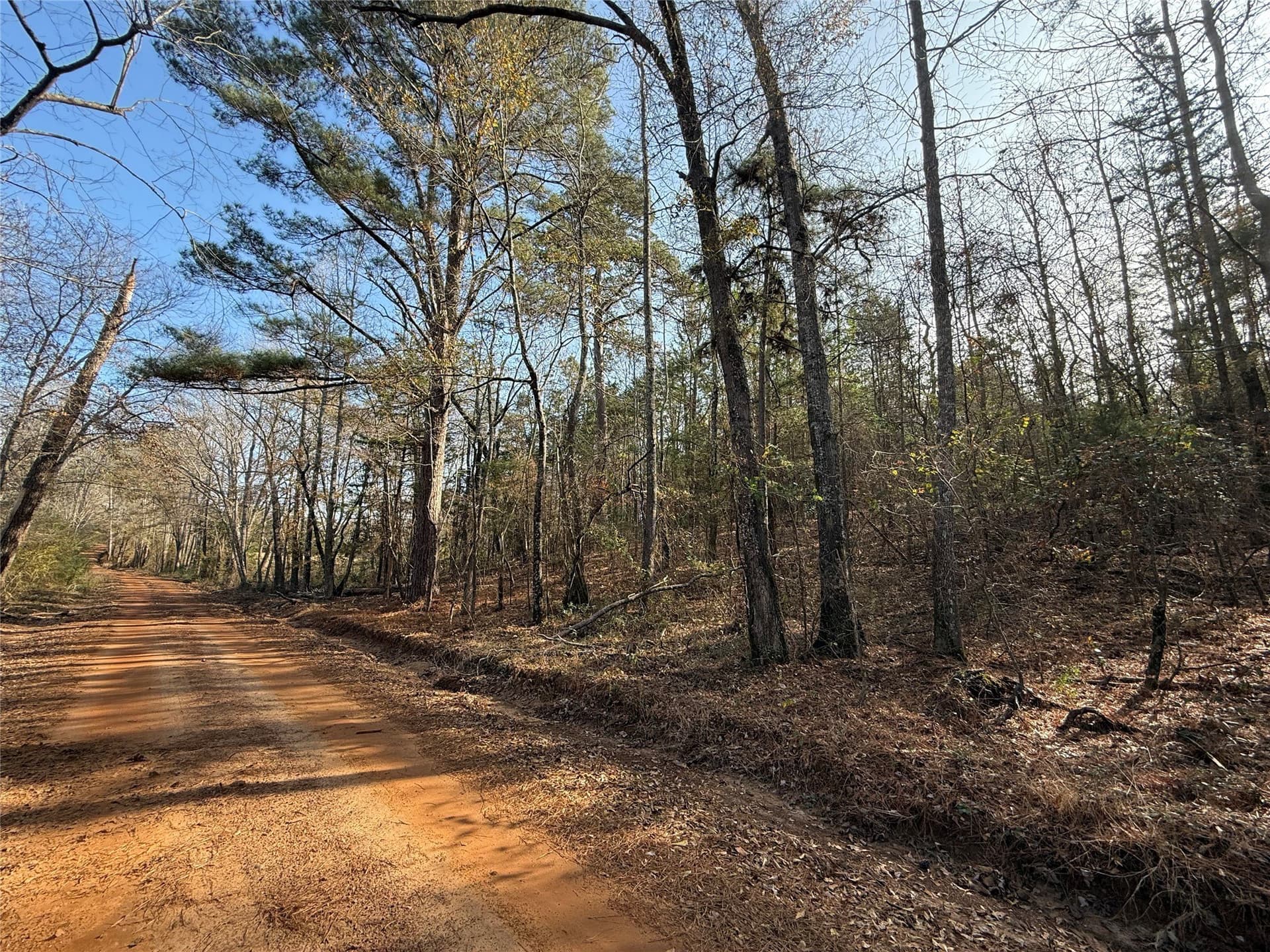 35.73 acres in Cass County - photo 5