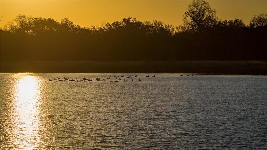 920 acres in Wise County featured view